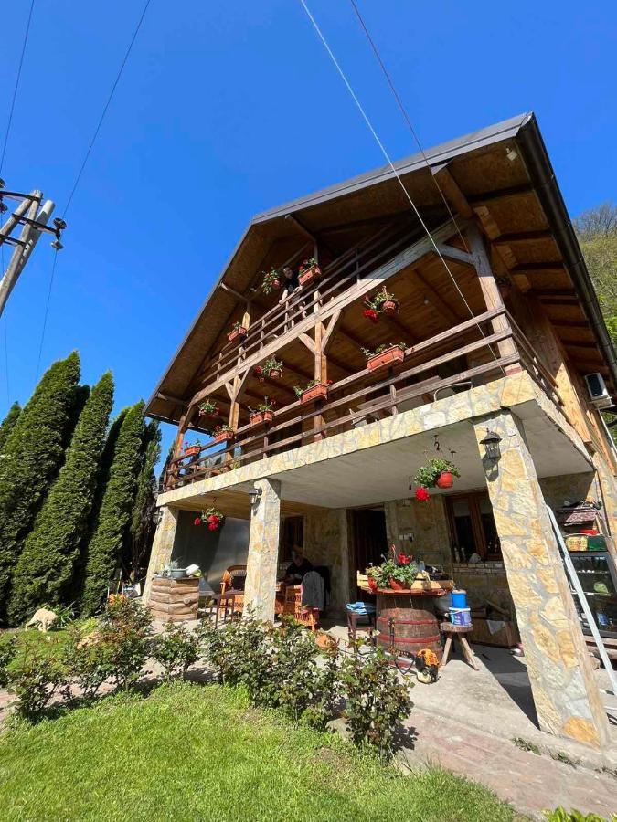 Apartman "Kapetana Luka" Ljubovija Dış mekan fotoğraf